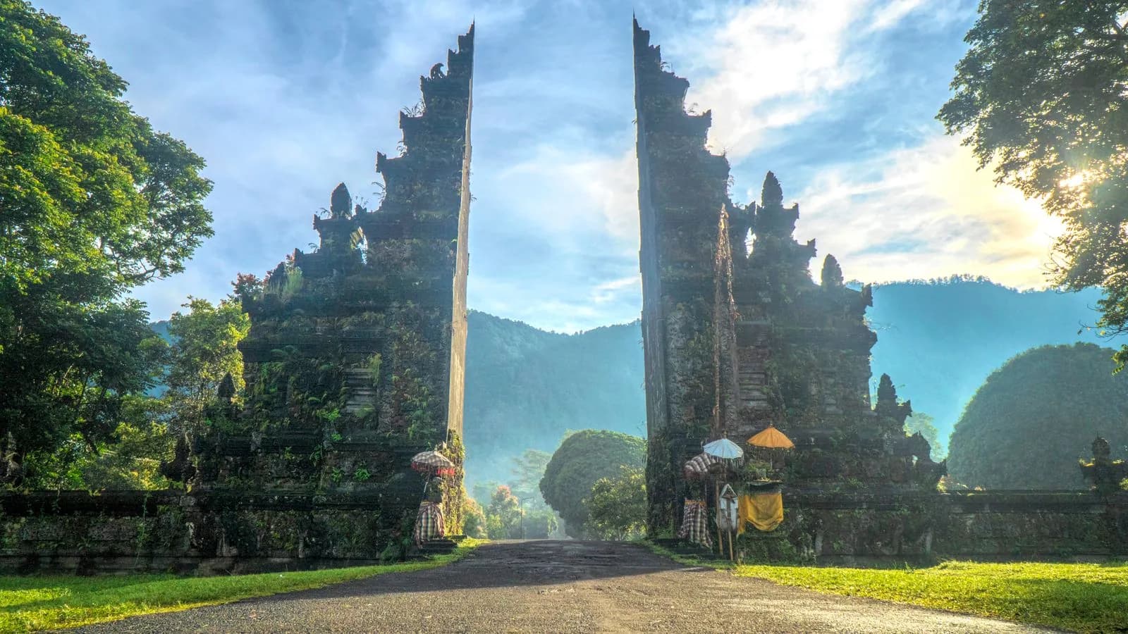 Bali rice terraces and tropical landscape
